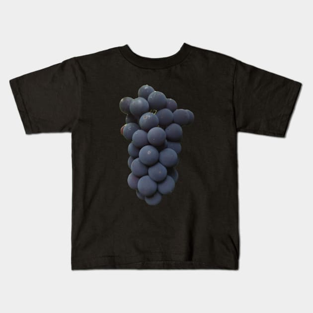 Fruits Kids T-Shirt by bobby t-shirt